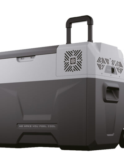 Demmon Araç Buzdolabı DY40-1