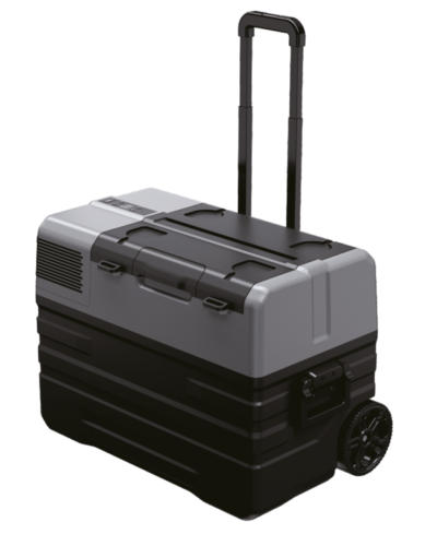 Demmon Araç Buzdolabı QX42-1