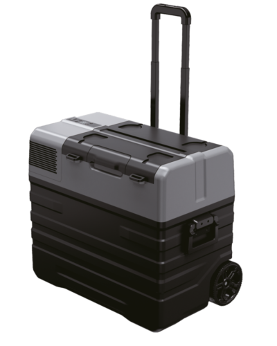 Demmon Araç Buzdolabı QX52-1